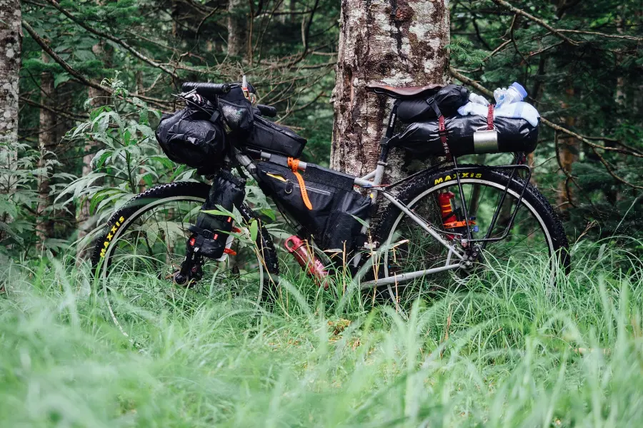 Bepacktes Mountainbike im hohen Gras am Waldrand