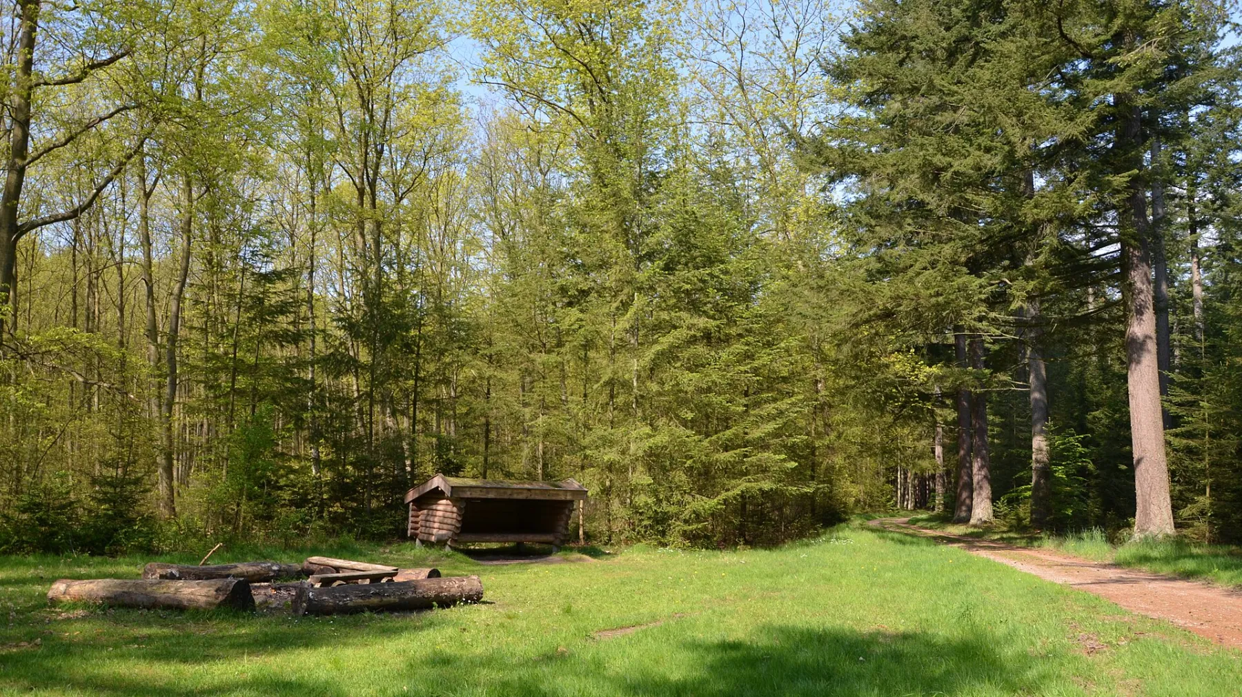Holz-Shelter auf einer Waldlichtung bei Virklund in Dänemark
